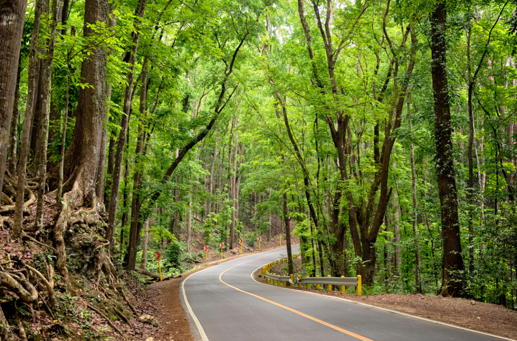 Day Swing to Bohol: Country Side Tour