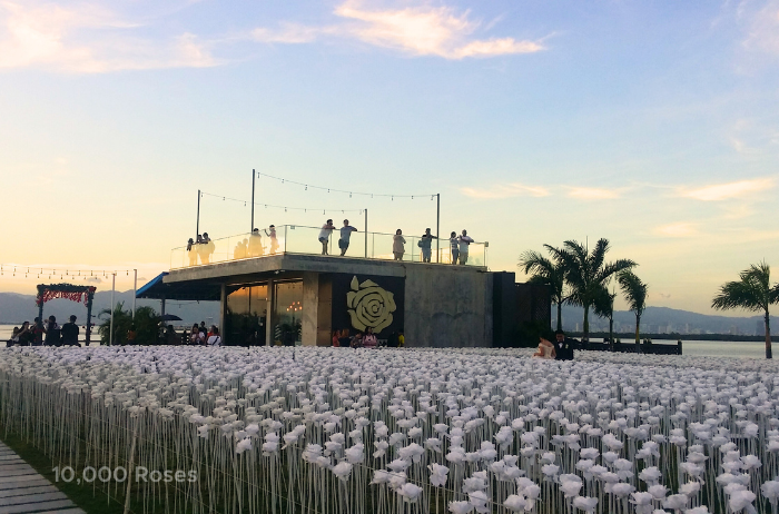 Mactan Island City Tour with 10 Thousand Roses